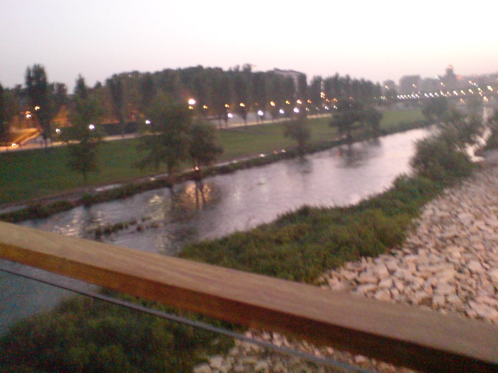 El segre desde la pasarela by lleida