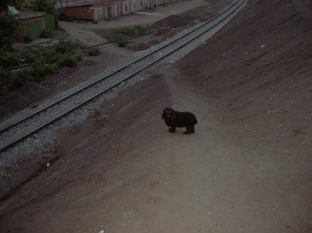 Leninskiy okrug, Omsk, Omskaya oblast', Russia by BAS_OMSK