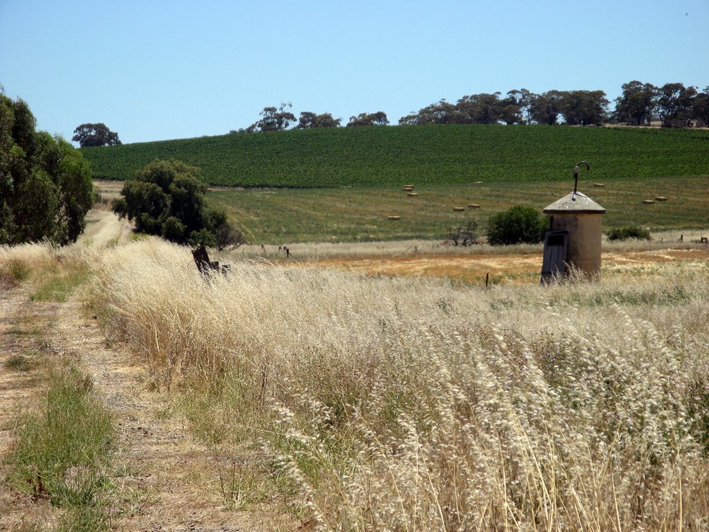 Former Undalya Railway Station, Rattler Trail by jez_au