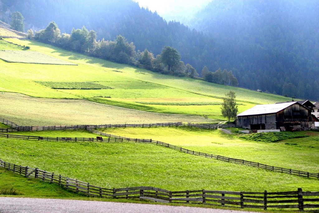 ITALIA - ALTO ADIGE - SARENTINO - RIO BIANCO - PASCOLI by Franco Ramellini