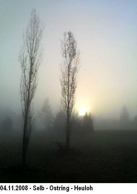 Herbst in der Heuloh - 2 by Friedrich IV