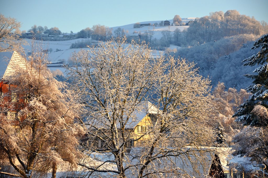 Winter day in Boll by olipan