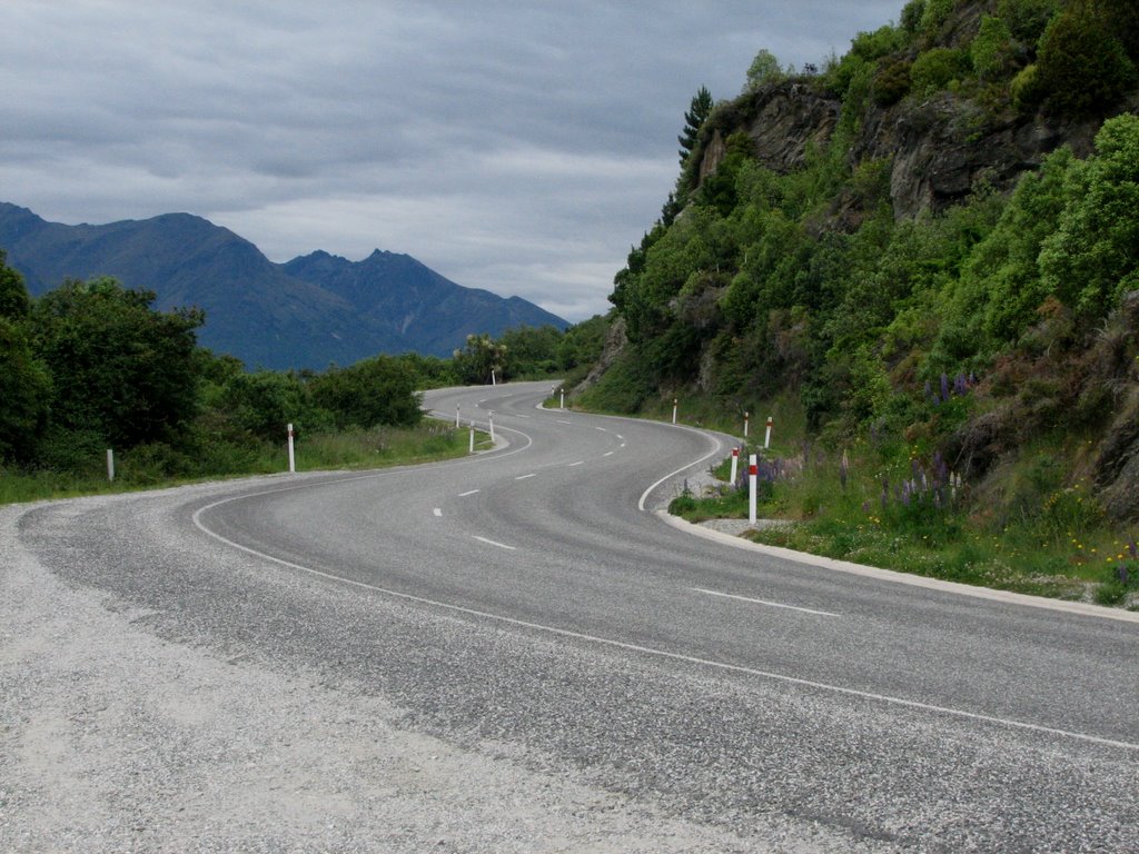 View west - Glenorchy-Queenstown Road by jamie_r