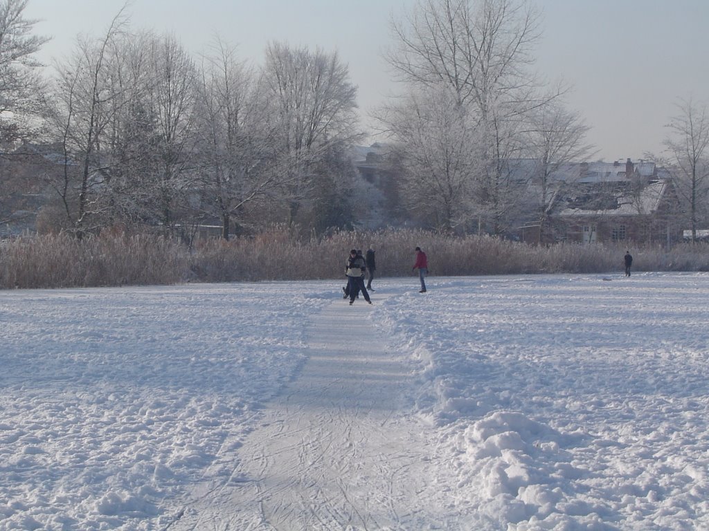 Leuven winterpret op de vijvers van de abdij van Park by Johan Byloos