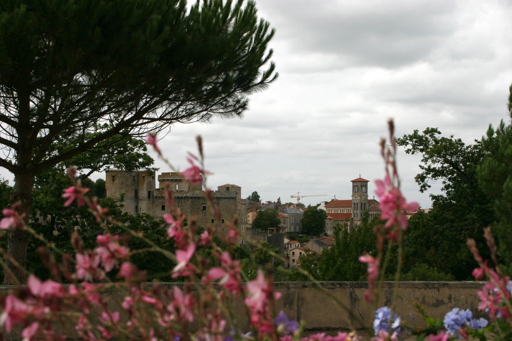 Vue sur le château et l'église depuis La Garenne Lemot by rjp-62