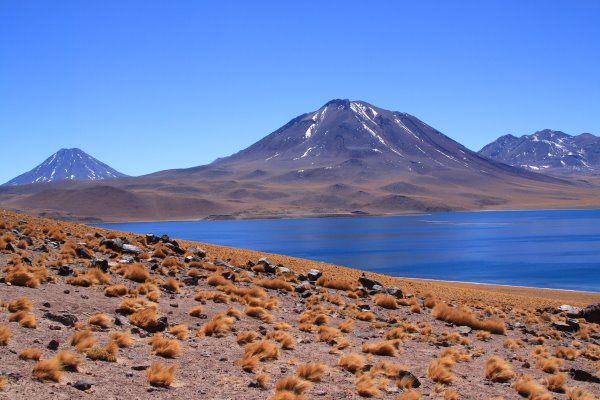 Laguna Miscanti by Gomibert