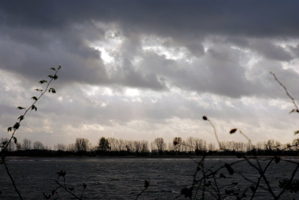 Elbinsel Neßsand vom Rissener Ufer by vp_hmbg-PRO PANORAMIO