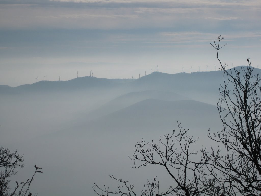 Molinos en la niebla by d.armendariz