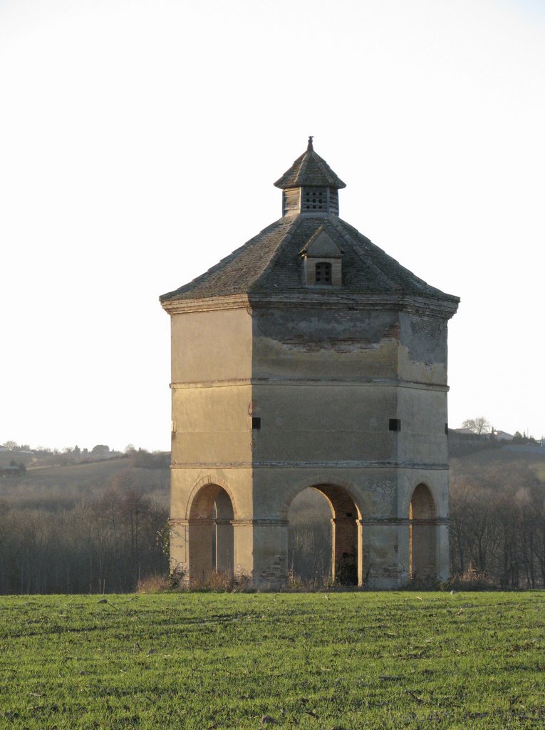 Pigeonnier, domaine de Las Néous. by Phil'Ours