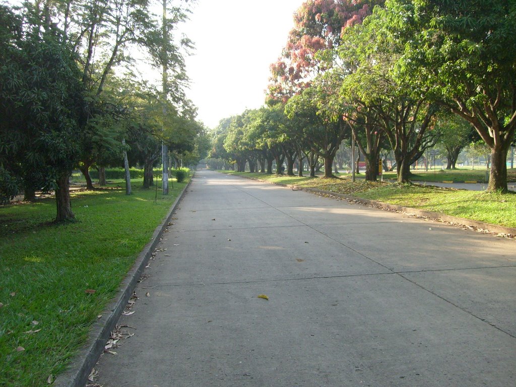 Universidad del Valle, Cali, Colombia by TrianglePoint