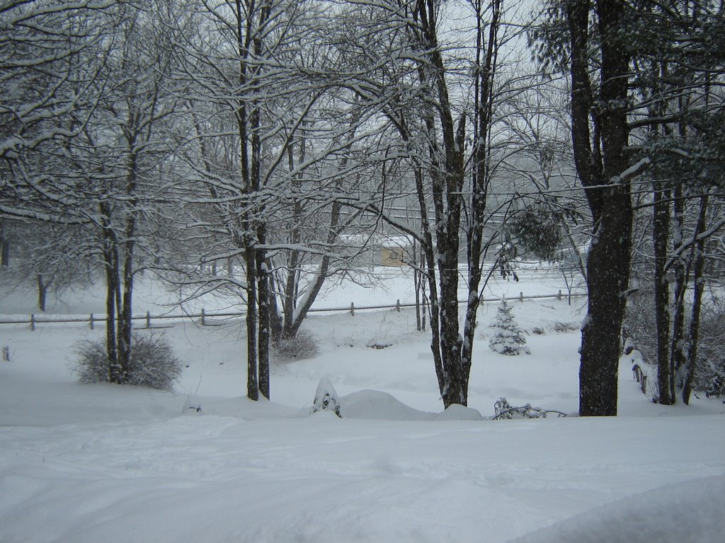 Snowy Tyngsboro Rd. by calla-mari