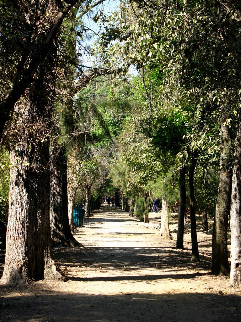 10-01-2009 Calle Olmos, Viveros de Coyoacán. by Esteban M. Luna (esmol). by ESTEBAN M. LUNA