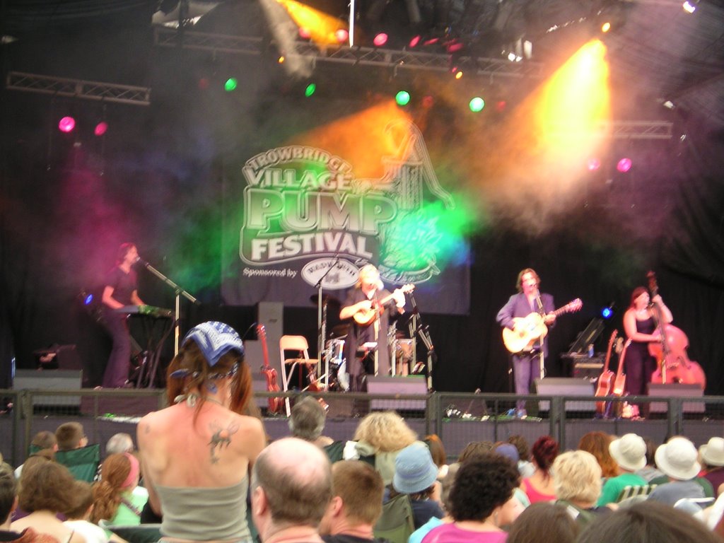 Trowbridge Folk Festival by nd017