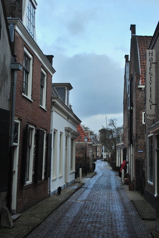 Dorpsstraat Loenen a. d. Vecht, met op de achtergrond korenmolen "de Hoop" by Joe Cost Budde