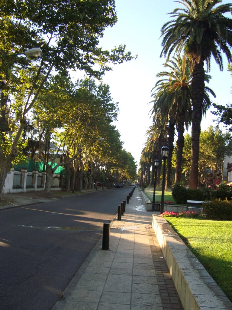 Av. del Libertador by Izhak el Dragontosau…