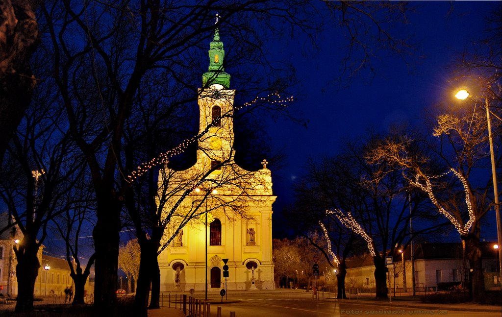 Budapest, Soroksár DSC_2379-1 by A. Zoltán Sárdi (pho…