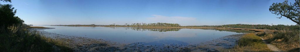 Marshes near White Oak River by Matthew Plante