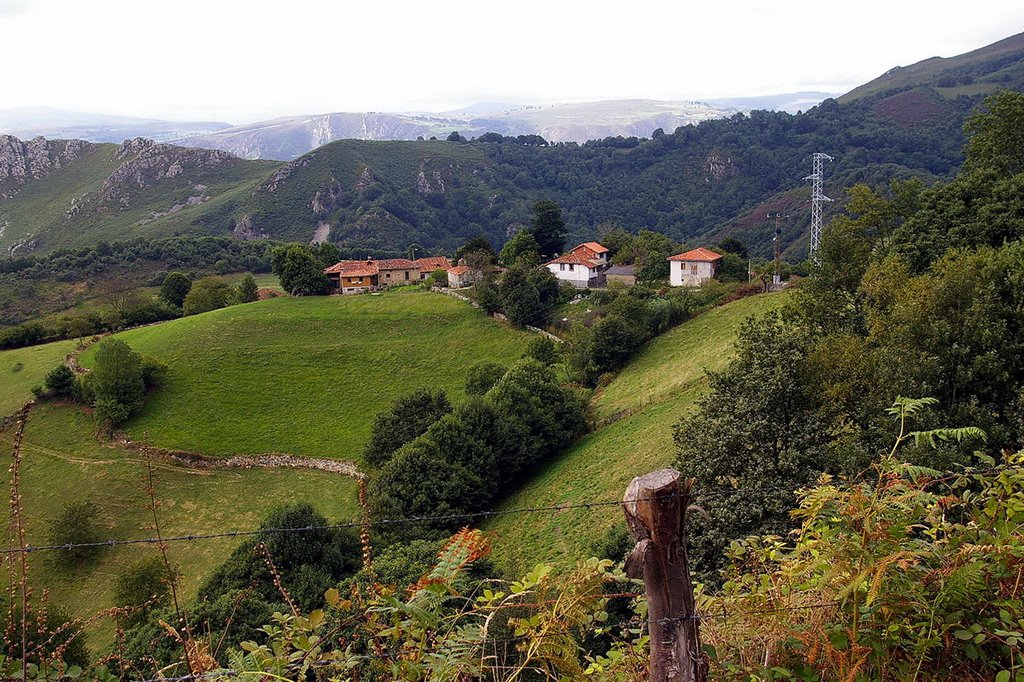 Antoñana, Belmonte de Miranda, Asturias by Antonio Alba