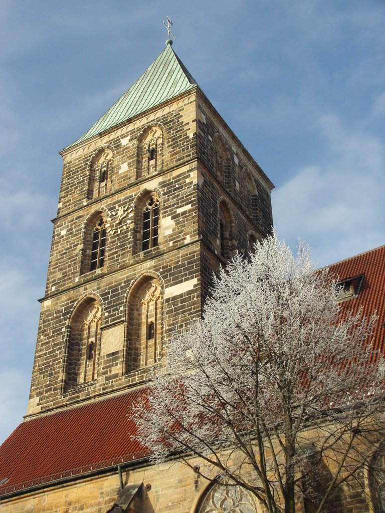 Stadtkirche am Marktplatz by joorg