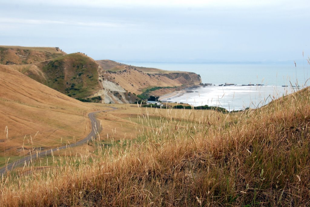 Cape Kidnappers by termeerh