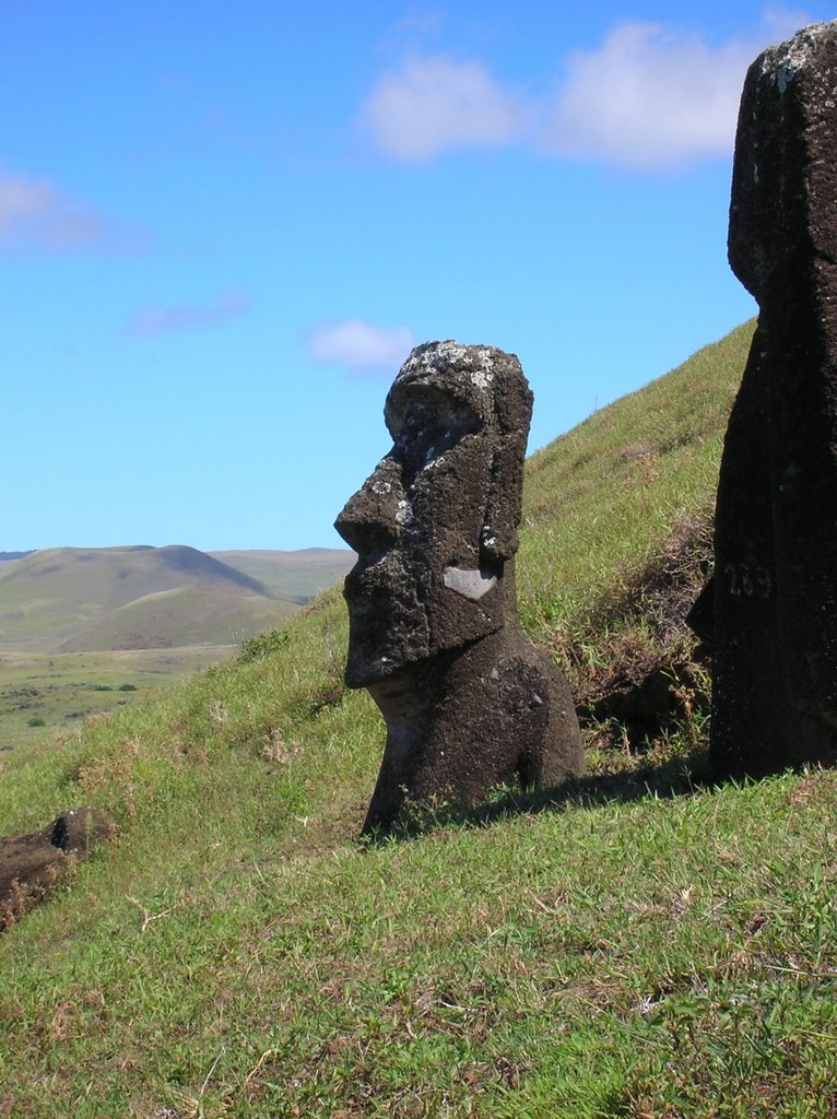 Camino de los moais. Isla de Pascua. http://mundoporlibre.com by Ricardo Ribalda Menc…