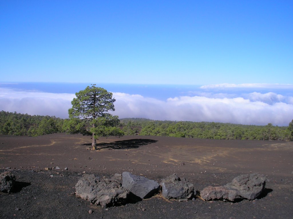 Auf dem Weg zum Teide/Way to the Teide by katl