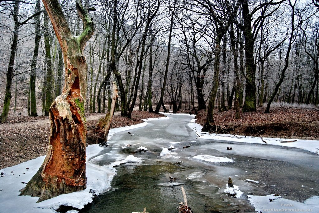 Gaja-patak völgye DSC_2678-1 by A. Zoltán Sárdi (pho…