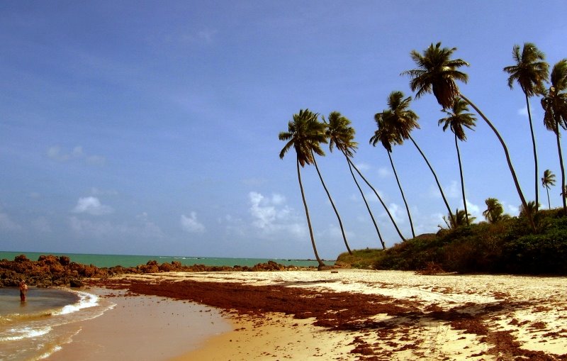 Tabatinga Beach by Neto Carlos