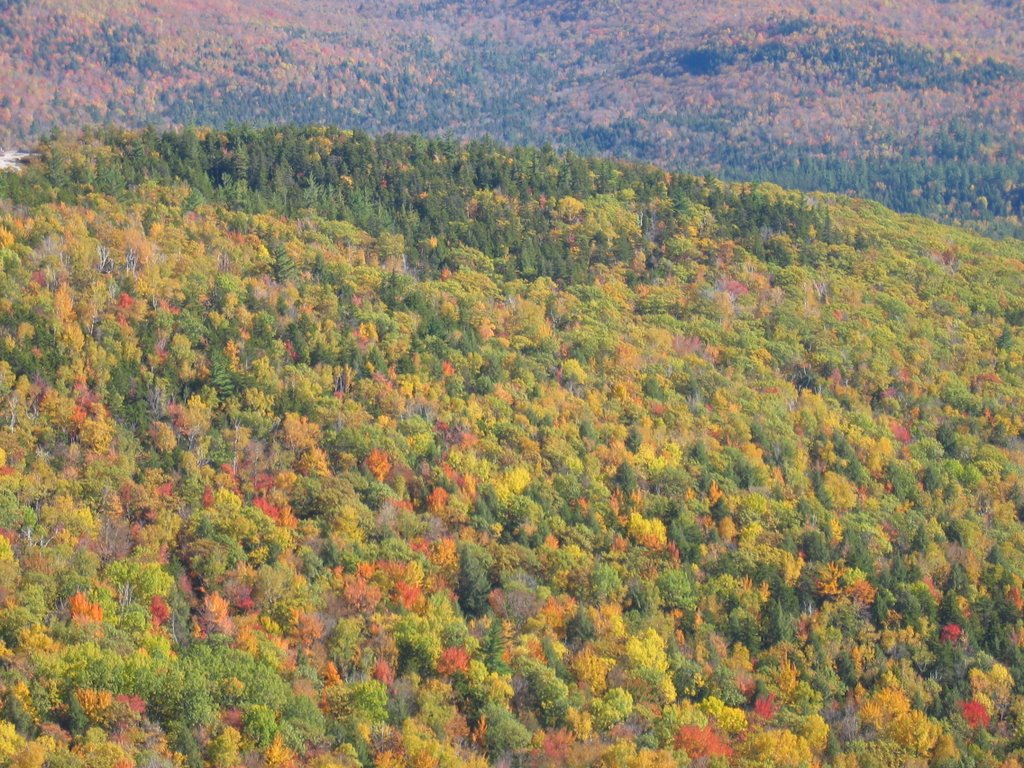 New England Bouquet - Welch-Dickey View by Steven James