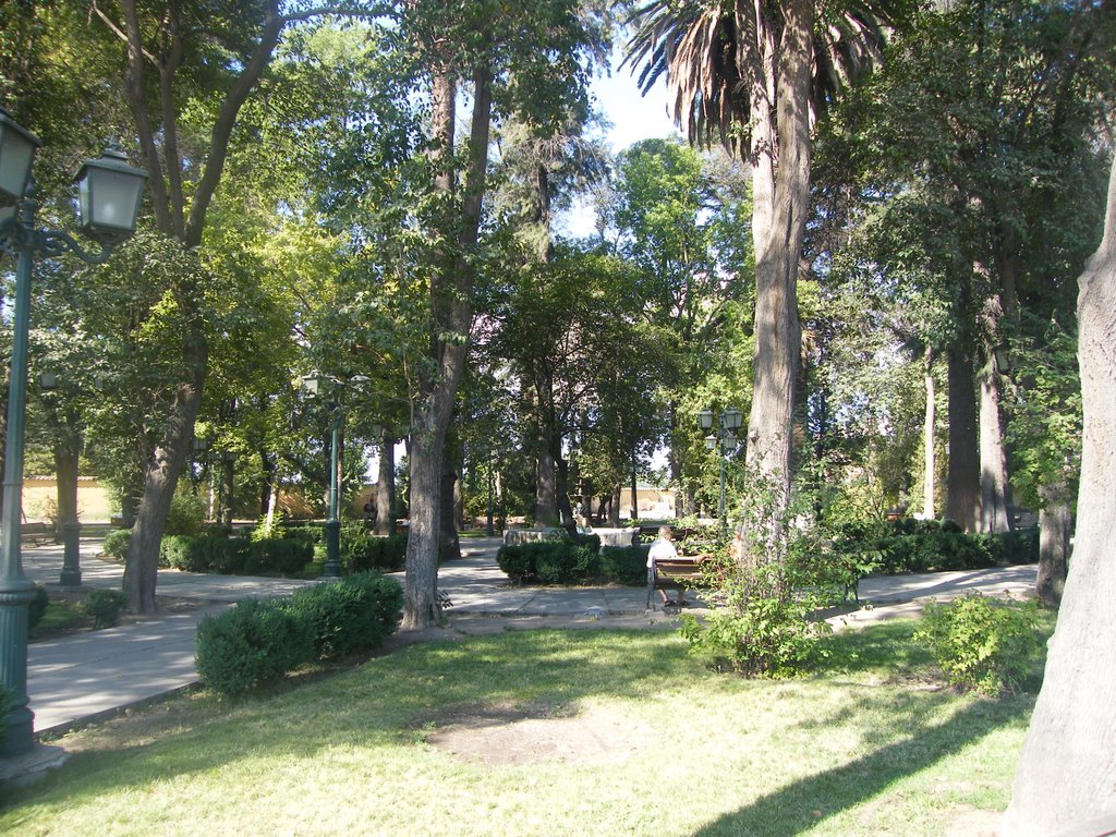 Plaza de Curimón, Vª Región de Valparaíso, Chile by iic_2008