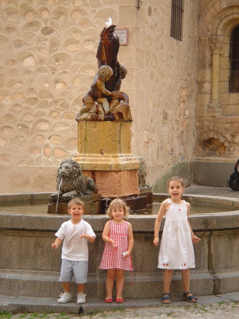 Fuente de San Martín by leonor