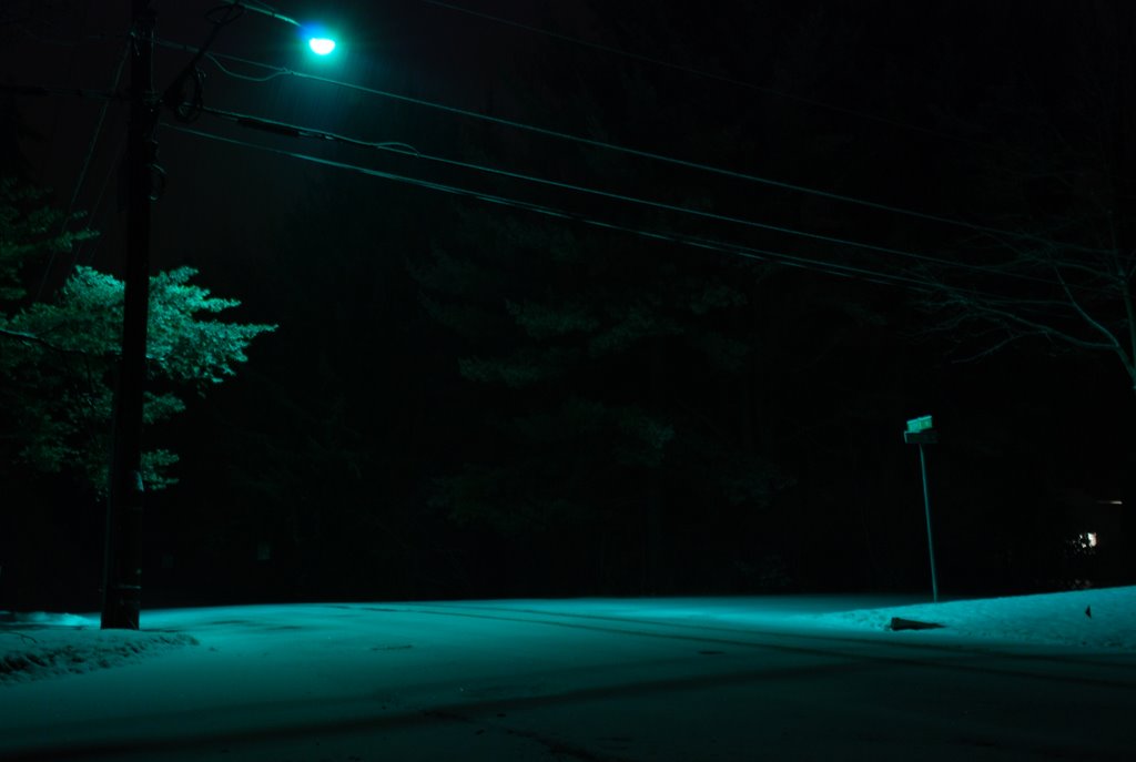 Street lamp in blue by Henry P. Gray