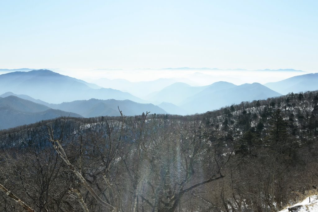 용평리조트 발왕산 하늘정원 Yongpyong Ski Resort-Balwangsan sky garden by visitkorea.or.kr