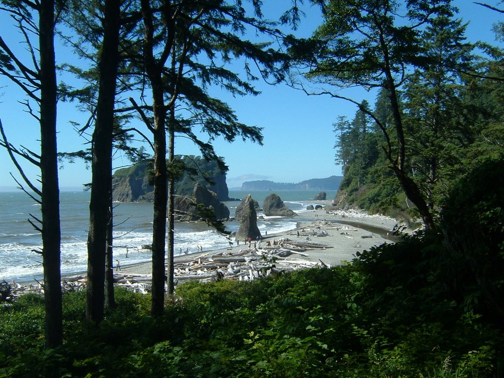 July 2007 Ruby Beach by Fcexpress80