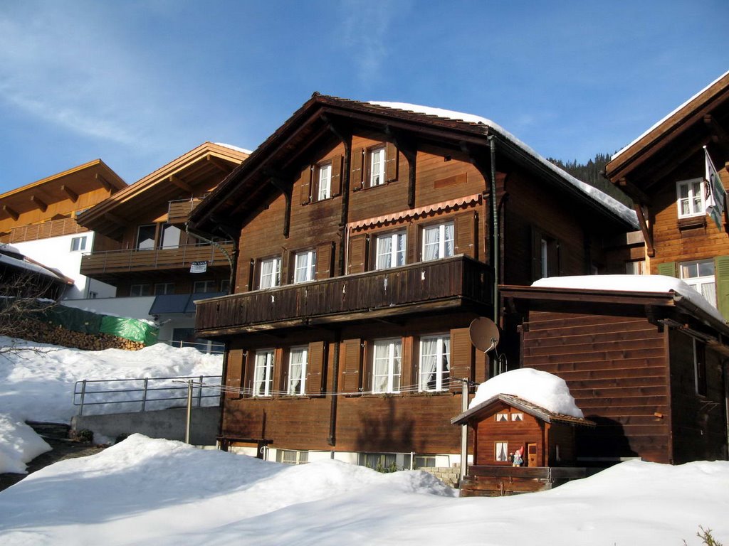 Wonhaus in Wengen by Samuel Fausch