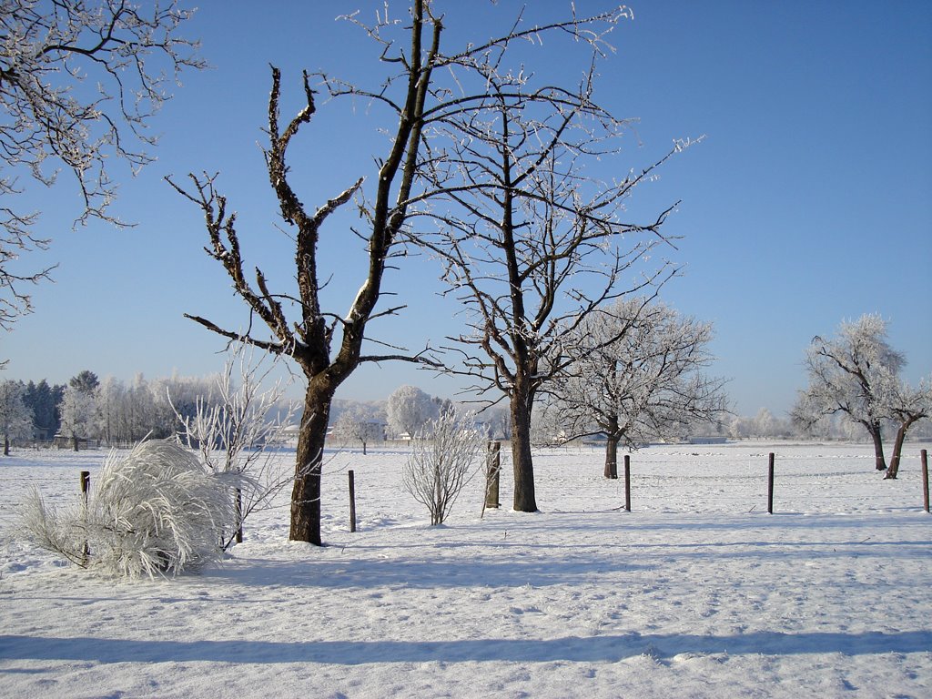 Winter in Glabbeek by Bimmie