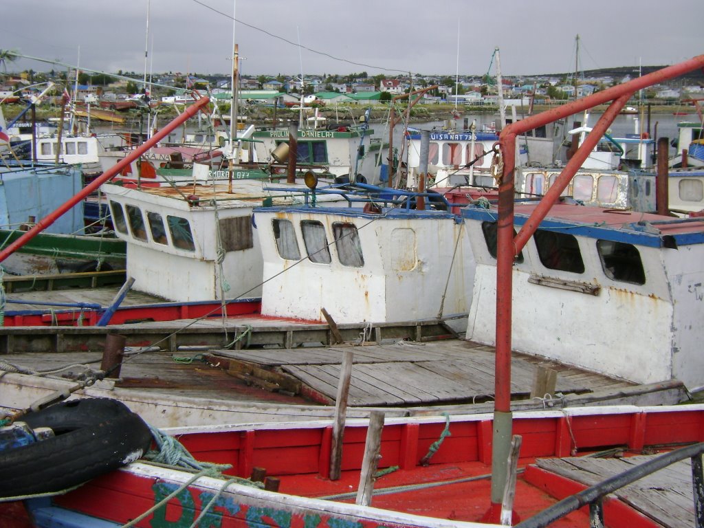 Puerto y Ciudad - Puerto Natales - Chile by drmxadaro