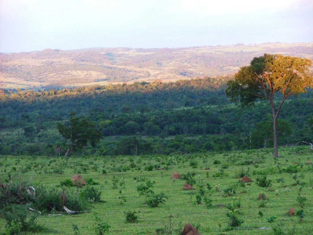 Paisagem aproximação by Jairo Campos G