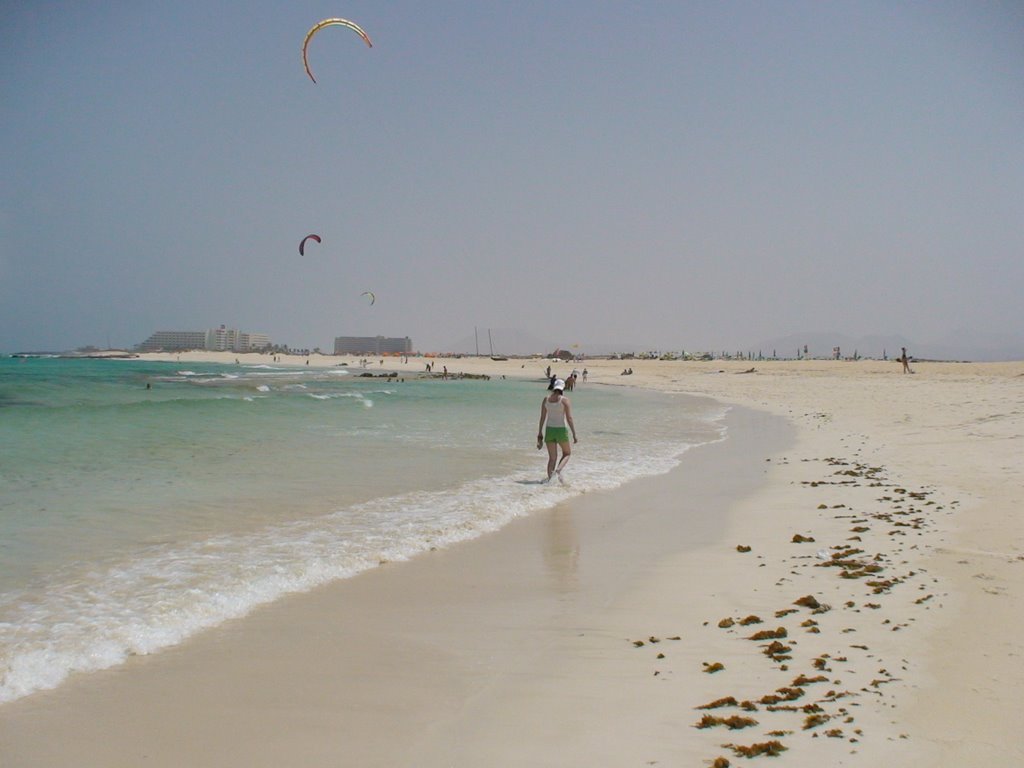 Spain, Fuerteventura, beach near Corralejo by maxowa