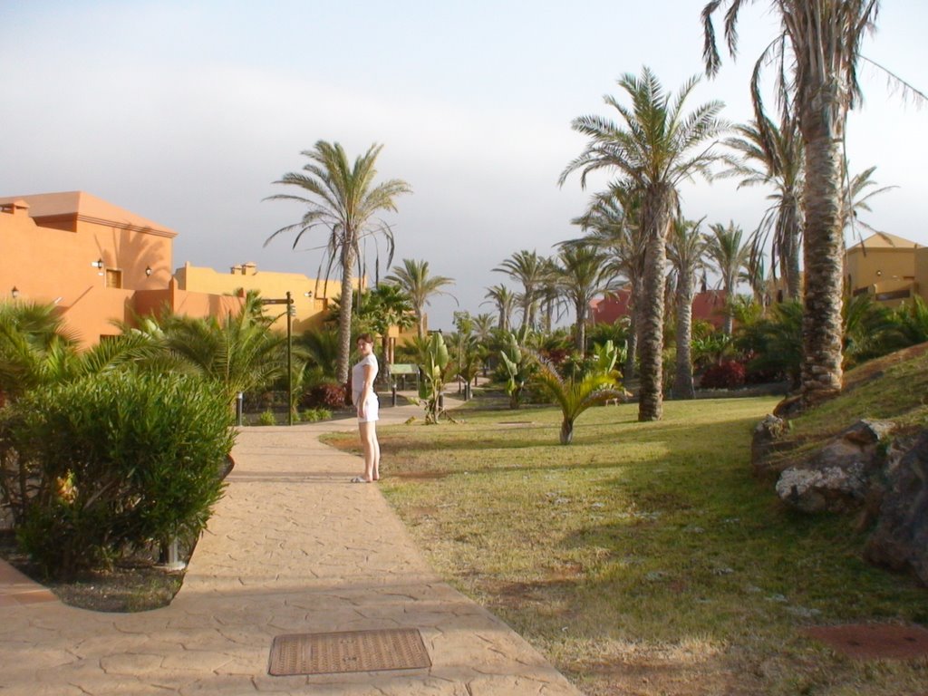 Spain, Fuerteventura, Hotel Oasis Papagayo‎ by maxowa