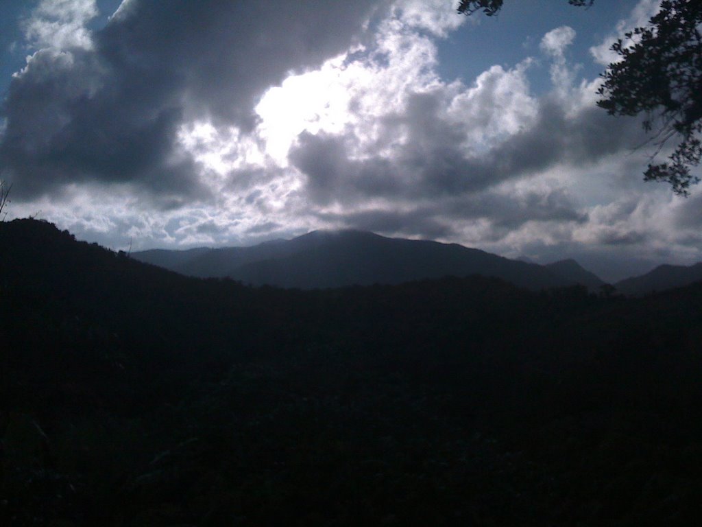 Bauta Abajo, Orocovis, Puerto Rico by ferni69