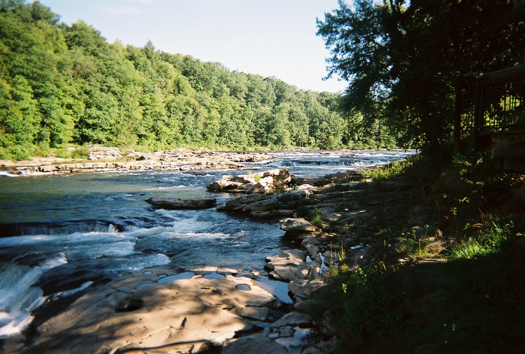 Down stream from Ohiopyle Falls by Joey Stipetich