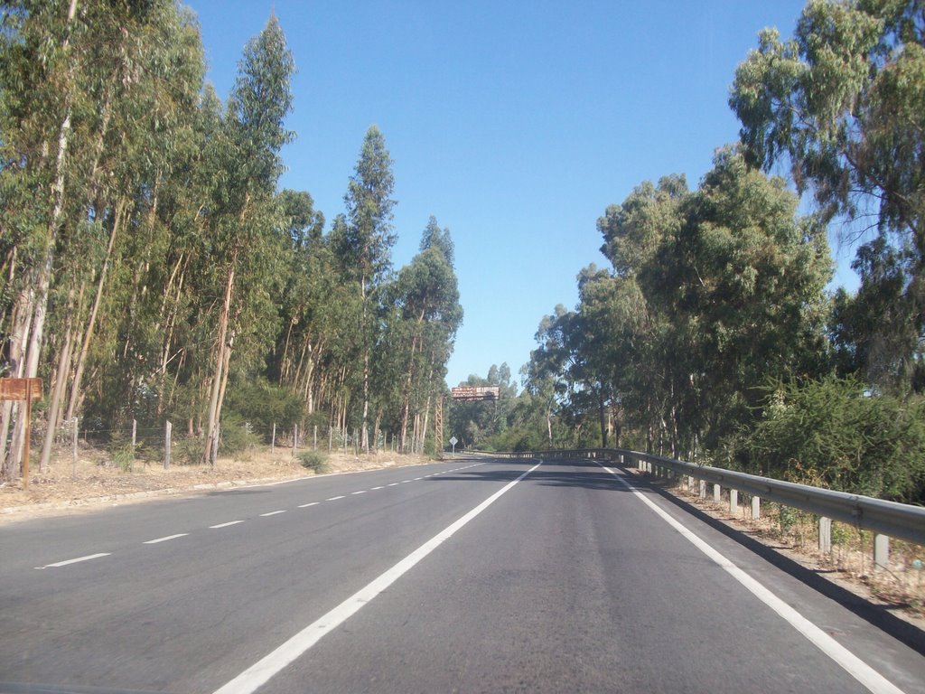 Autovía Cardenal Caro. Marchigüe VI Región by Ignacio Paredes