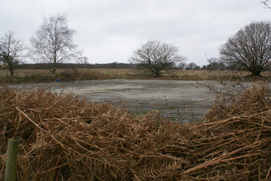 The old police skid pan by Bigdutchman