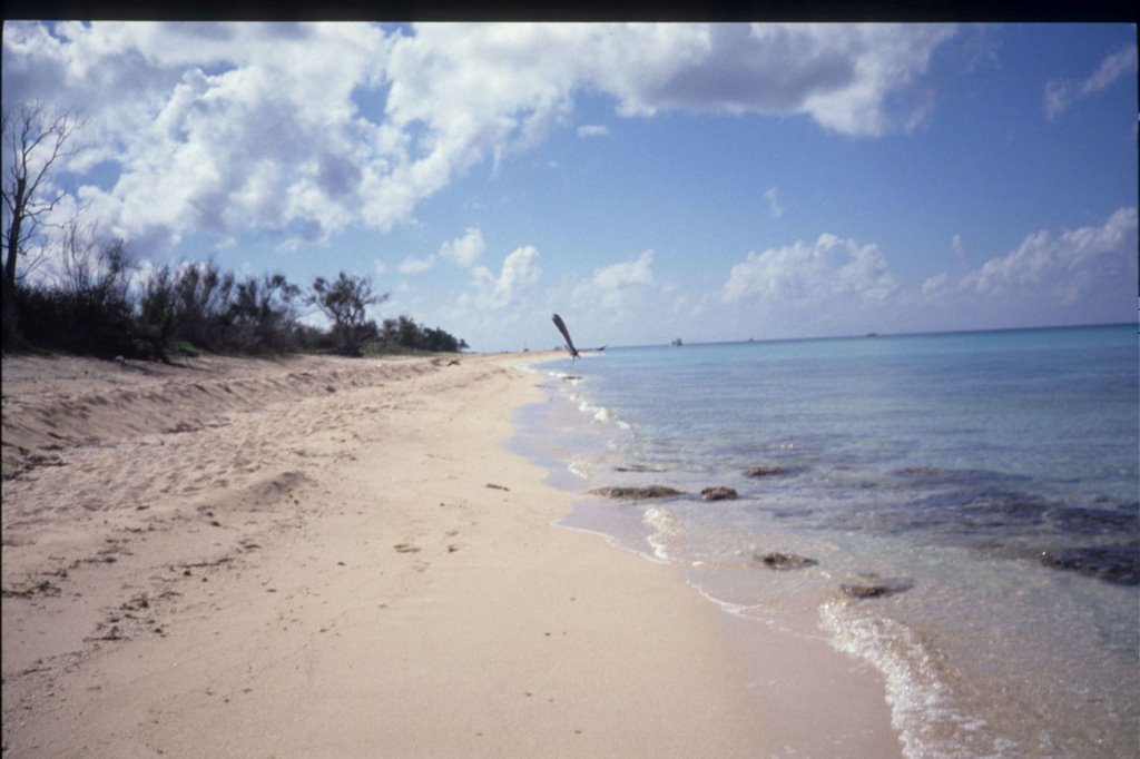 Playa desierta en Cozumel by Michael Torggler