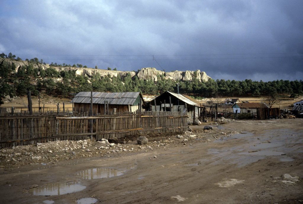 Tarahumara Indios by Michael Torggler