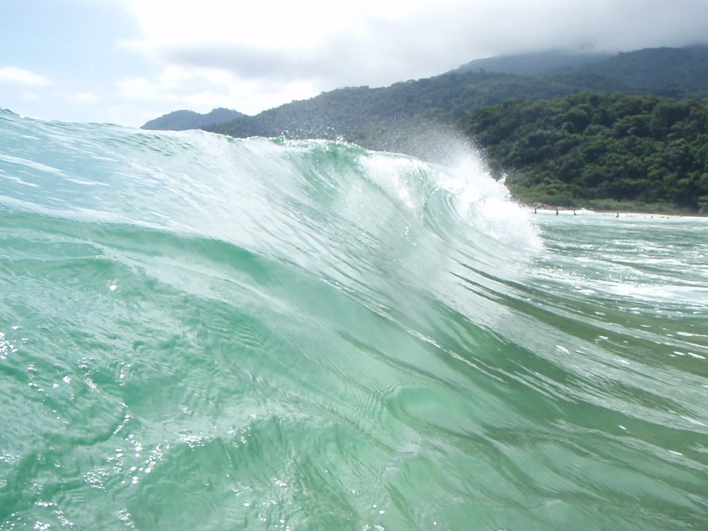 Onda em Lopes Mendes by dcf1983