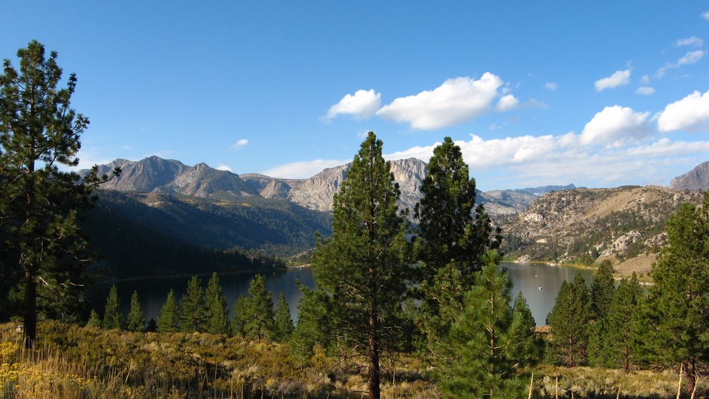 June Lake by micha030680