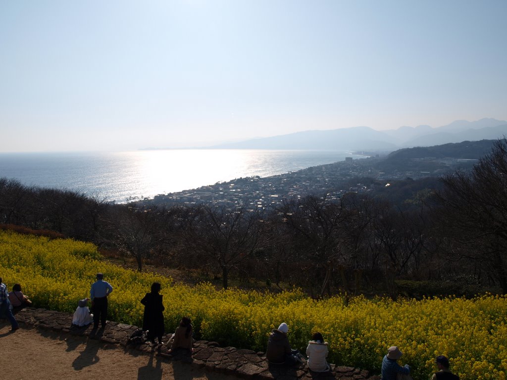 吾妻山公園からの眺望 by Yoshiyuki Tamura