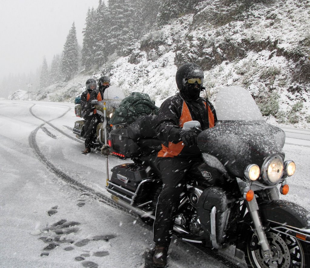 Aussies in the snow by Liss by don492